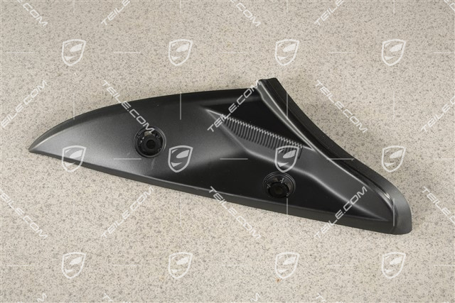 Tail light trim, L