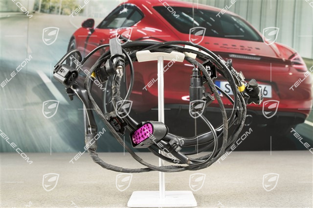 Wiring harness, lining front