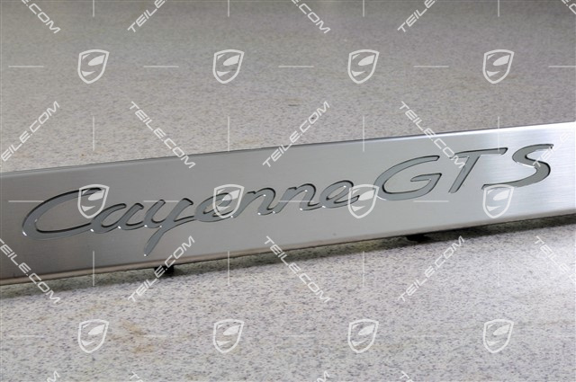 Blende, Einstiegleiste, Vorne, Edelstahl, GTS, L