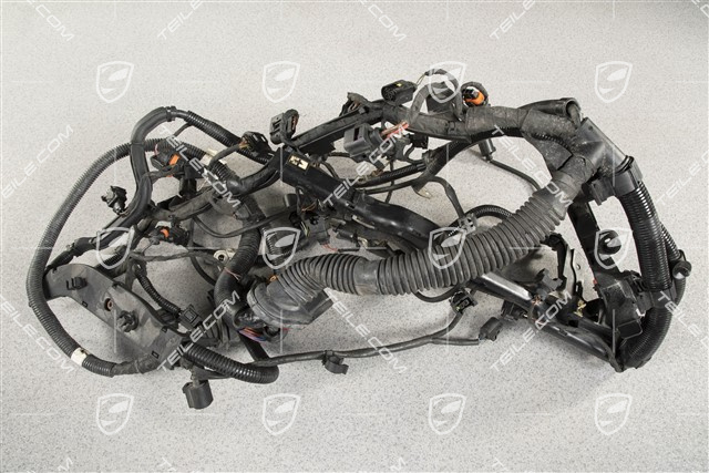 Motor Kabelstrang / Kabelbaum, 4.5L 330kW V8 Biturbo