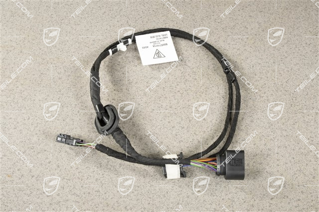 Wiring harness, Rear light, Center