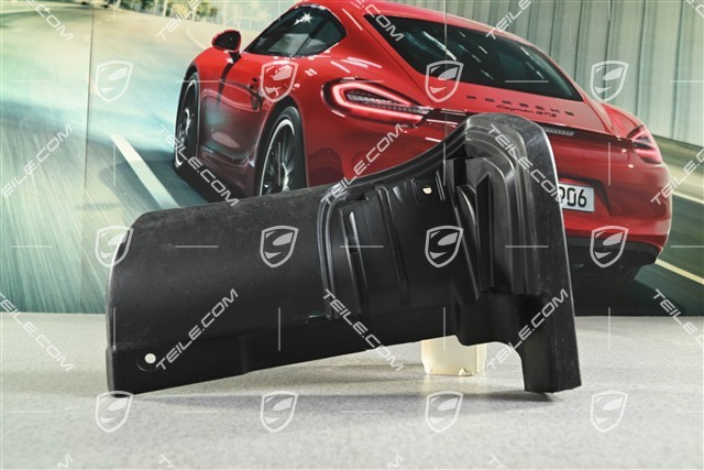 Spoiler / mud trim cover / guard, Rear, Black, L
