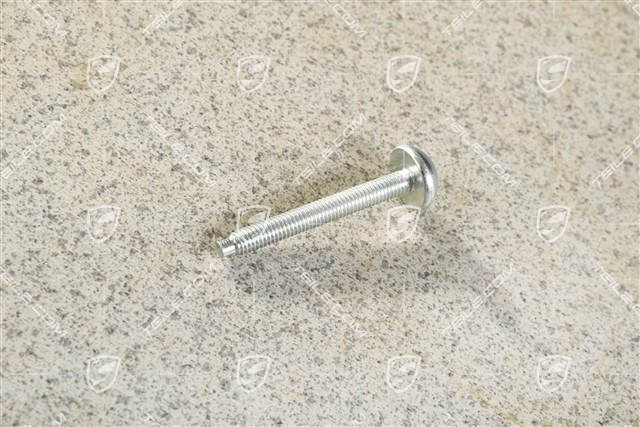 Screw