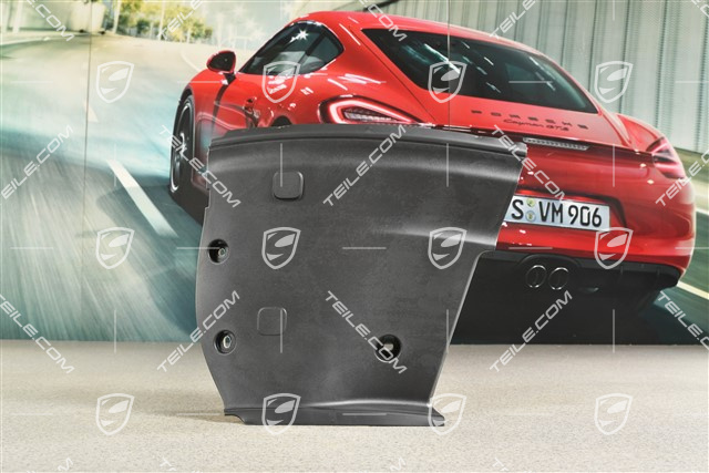 Coupe, Trim panel, R