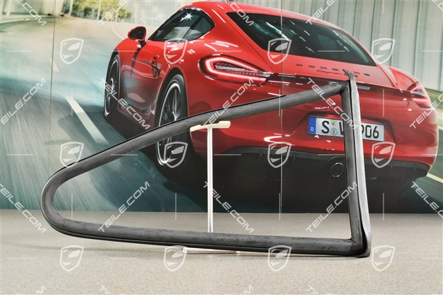 Dichtrahmen, Seitlich Hinten, Coupe, R