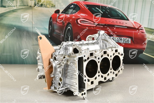 GT3RS Crankcase, A176