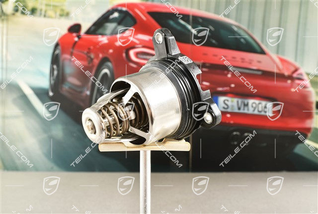 Thermostat insert 2,9L / 3,0L