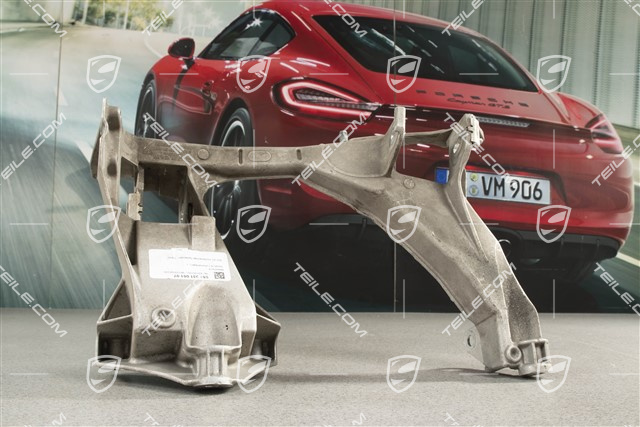 Rear suspension side section / panel, L