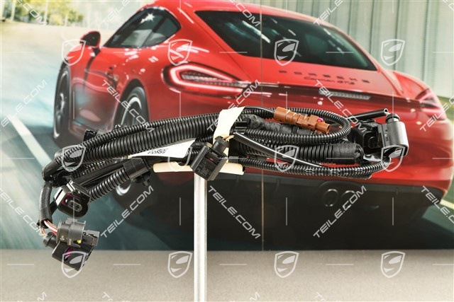 Wiring harness, bumper rear, ParkAssist and Real Top View