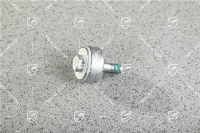 Schraube mit Tilgergewicht, Bremssattel hinten