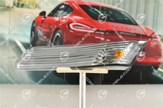 Side turn signal, RS, Facelift 2010-, L