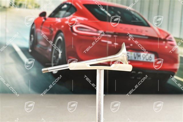 Exhaust valve, Turbo / GT2