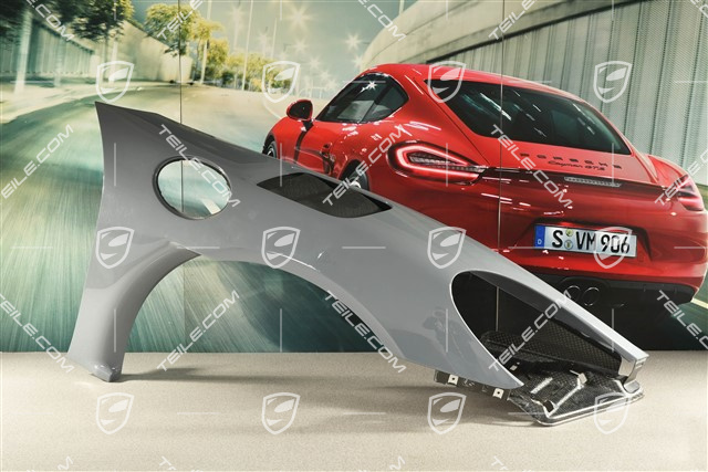 GT4 RS/Spyder RS Błotnik przedni, R