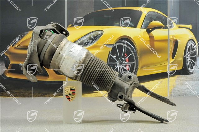 Federbein, komplett, V6 3.2L 177KW, R Federbein, komplett, V6 3.2L 177KW, R