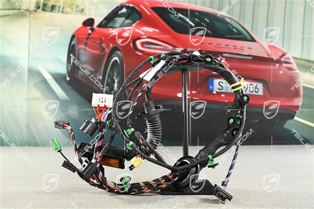 Wiring harness passenger's side / Bose soundpackage
