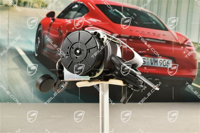 Coupe, Sicherheitsgurt, Hinten, Silber, L=R