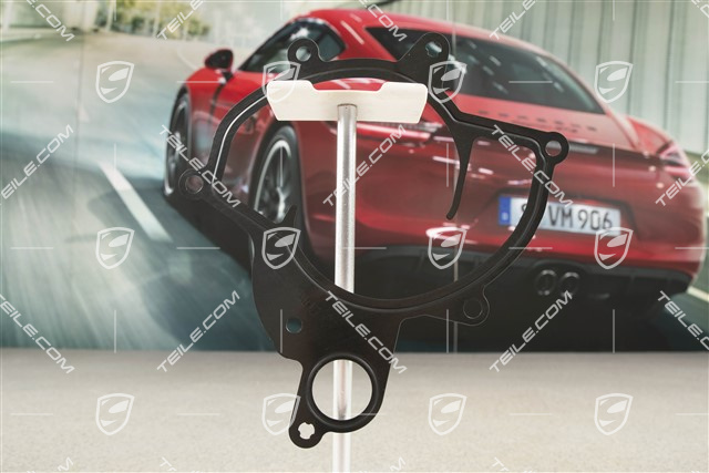Water pump gasket