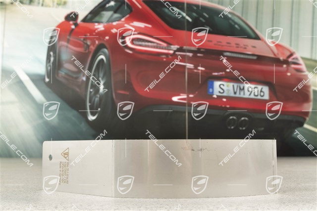GT3RS, Luftführungblech / Schutzblech, VA, R