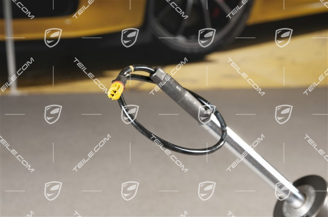 Stossdämpfer / Schwingungsdämpfer, Hinterachse, PASM. GT3RS, L=R