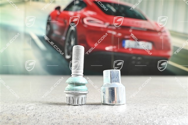 Adapter für Diebstahlsicherung Radschraube mit Schraube