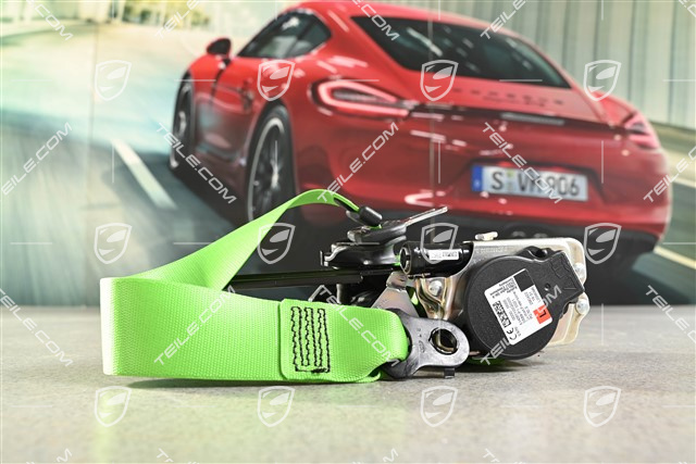 Coupe / Targa, Seat belt, lizard green, L