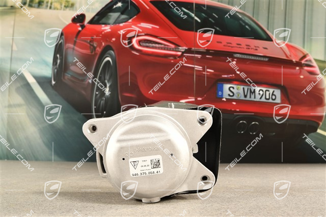 Poduszka silnika dolna, 3,0 / 3,6L, R