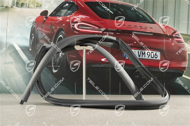 Cabrio / Targa, Windschutzscheibenrahmen, Dichtung