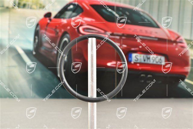 S / GTS / TURBO, O-Ring, Thermostat
