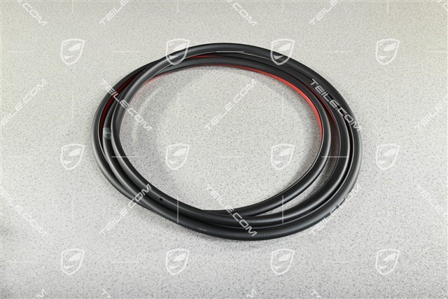 Türdichtung vorne, aussen, L=R