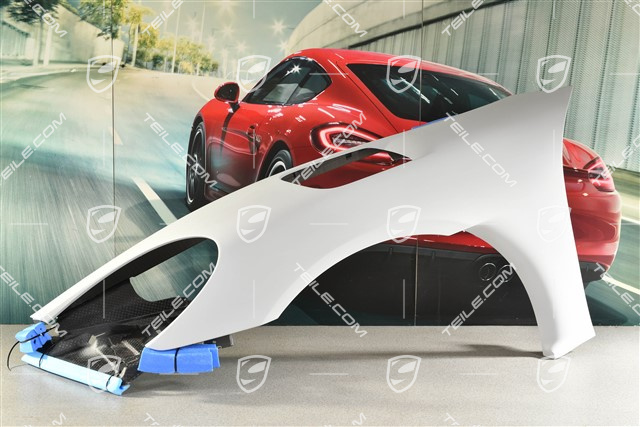 GT4 RS/Spyder RS Błotnik przedni, L