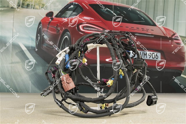 Wiring harness front bumper, Extended and crash-active pedestrian protection