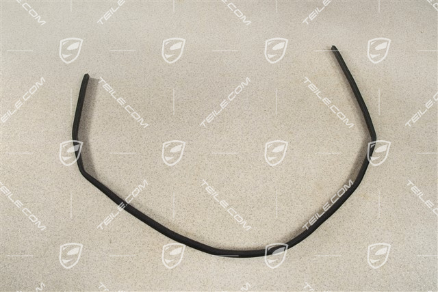 Dichtungsschiene, Coupe, L