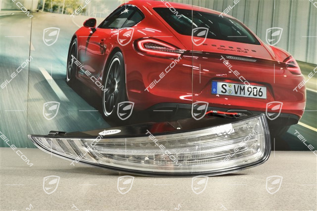Rear light, in clear glass look (white), rear fog light left, L (damaged)