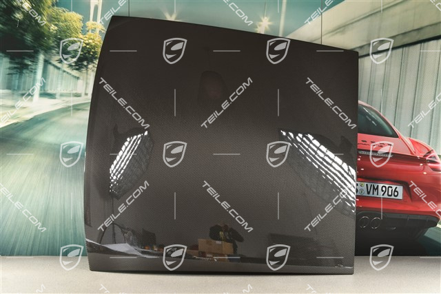 Outer roof panel, carbon