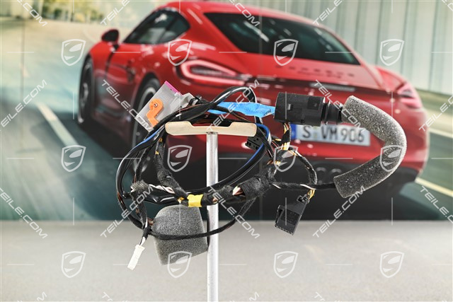 Kabelstrang, Türtafel, Fahrertür, L