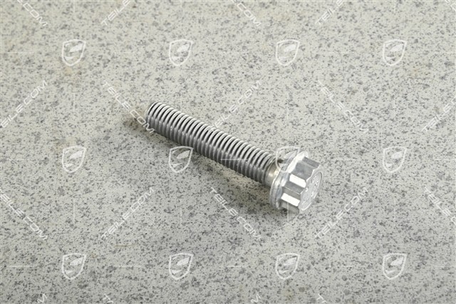 Twelve-point screw / bolt M12 x 60 Twelve-point screw / bolt M12 x 60