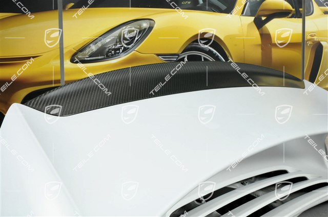 GT2 / GT2 RS Rear spoiler set (engine lid, wing, CARBON lip spoiler), incl. small pieces