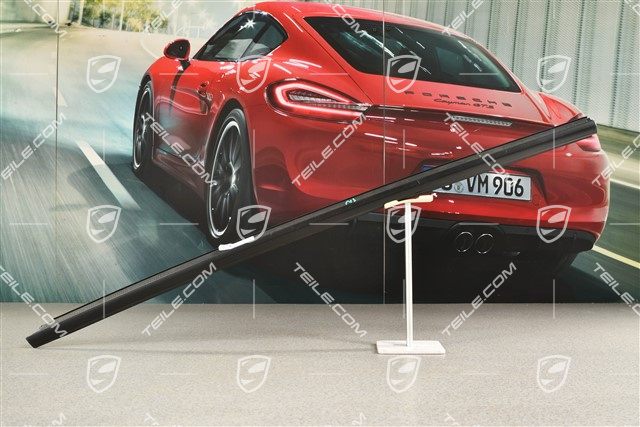 Rear door moulding, Black matte, L