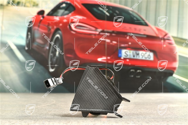 Cover with heating, Traffic Sign Recognition camera / PDLS+