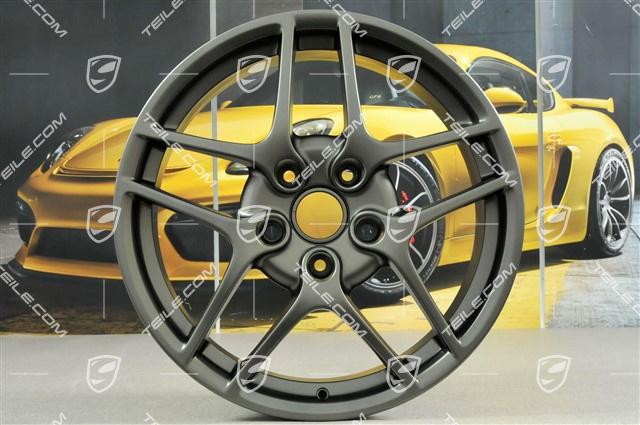 19" Felgensatz Carrera S II (Facelift), 8J x 19 ET57 + 11J x 19 ET67, Platin