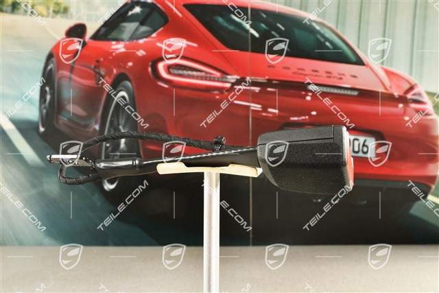 Zapięcie pasów, przednie, strona kierowcy