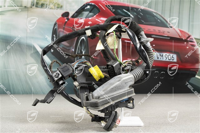 Kabelstrang, Türtafel, Beifahrertür, R