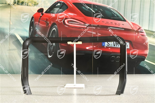 Sealing strip / seal for bonnet lock