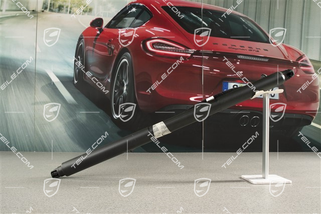 Stellelement, Dämpfer elektrisch, Servoschliesselung Heckklappe, L=R