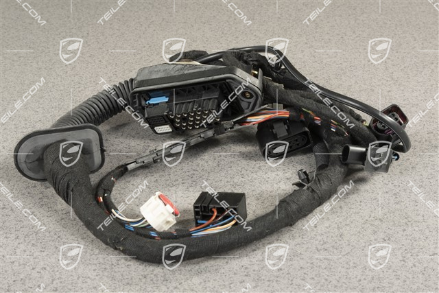 Wiring harness door panel, L
