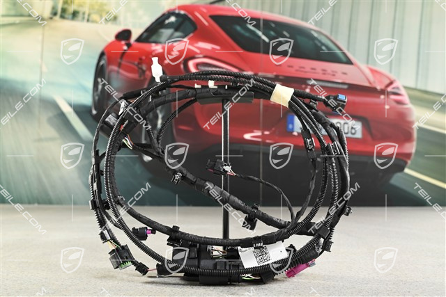 Front bumper Wiring harness / Electric loom, North America, R
