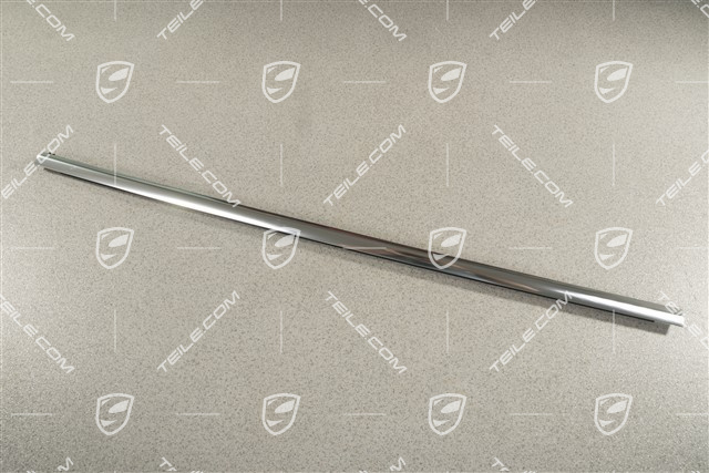 Zierleiste Türschacht, inkl. Dichtung, Hinten, Galvanosilber, R