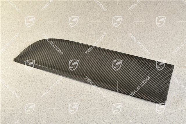 Rear door cover / trim, Carbon, L