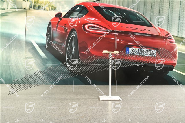 GT2RS Gitter / Luftführung