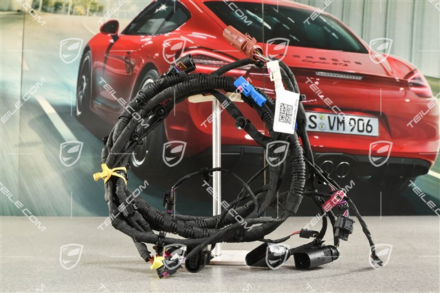 Wiring harness front bumper, pedestrian protection
